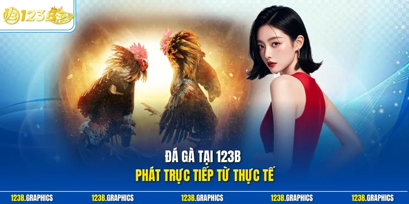 Đá gà tại 123B phát trực tiếp từ thực tế